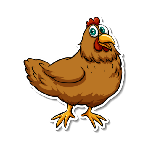 Chicken